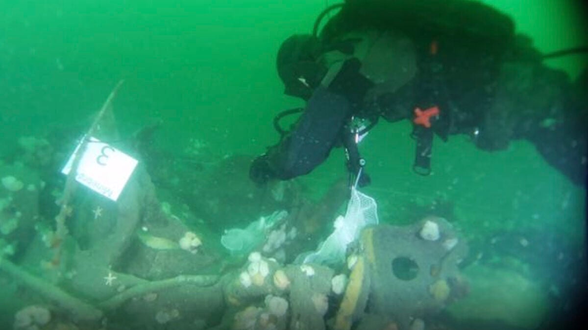 Sunken WWI and WWII Ships and Subs Are Leaking TNT Pollution&hellip;