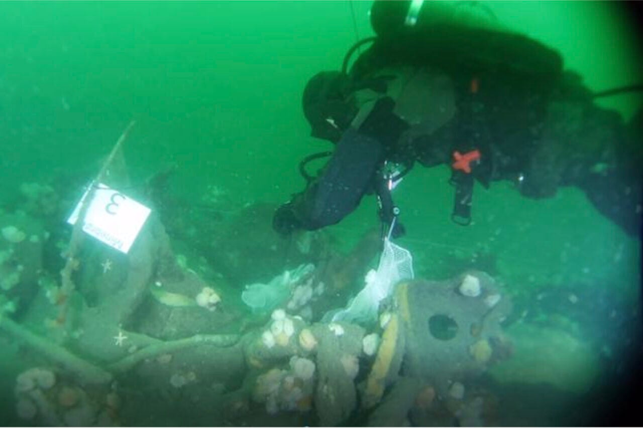 U-boat UC-30 Danish Navy diver