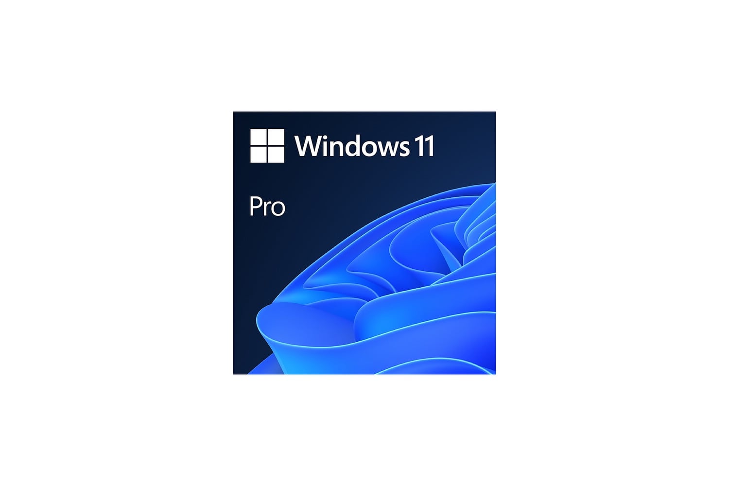 Windows 11 Pro