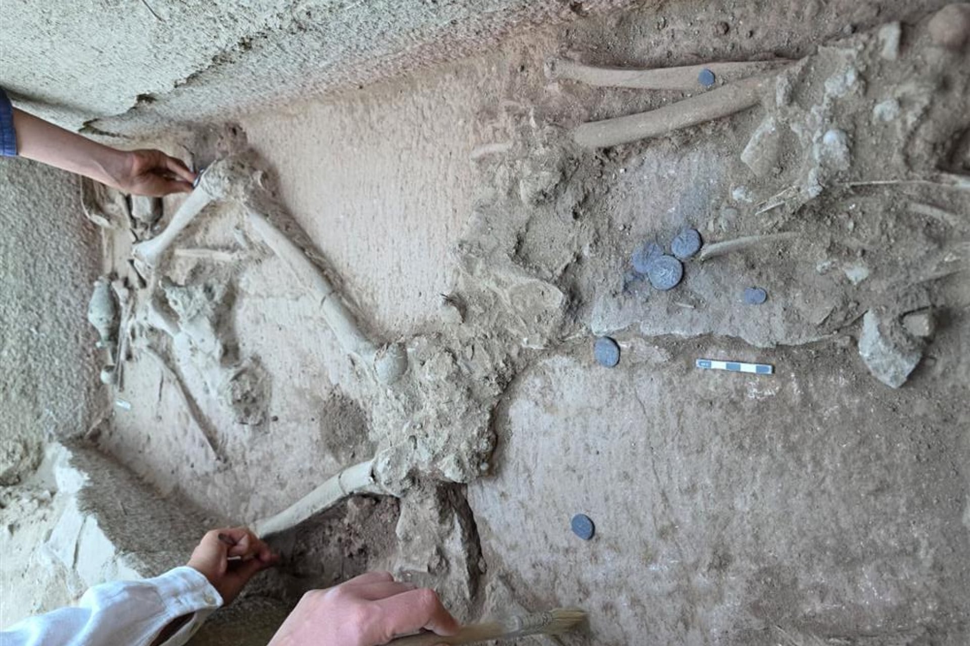 A skeleton discovered in the eastern necropolis of Apspendos.
