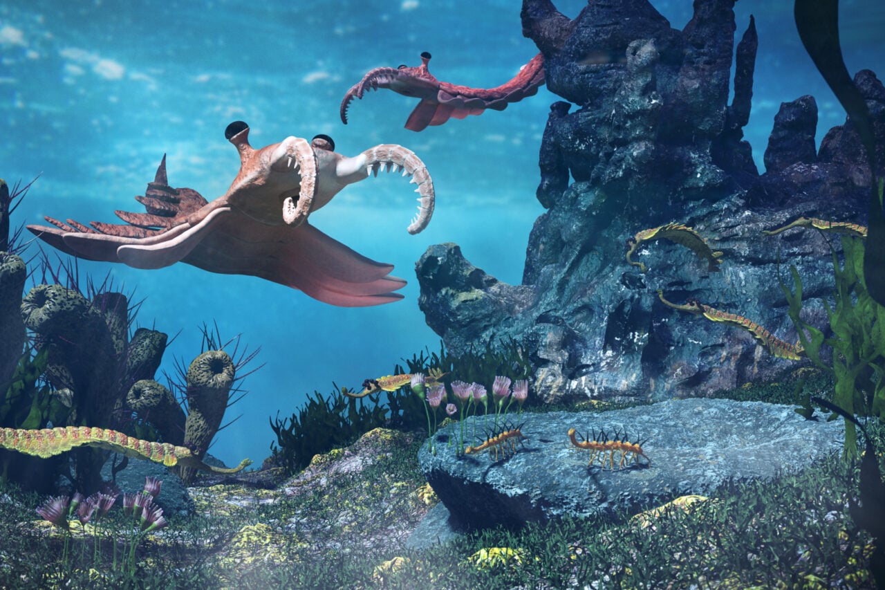 Cambrian Era Creatures Artist Rendition
