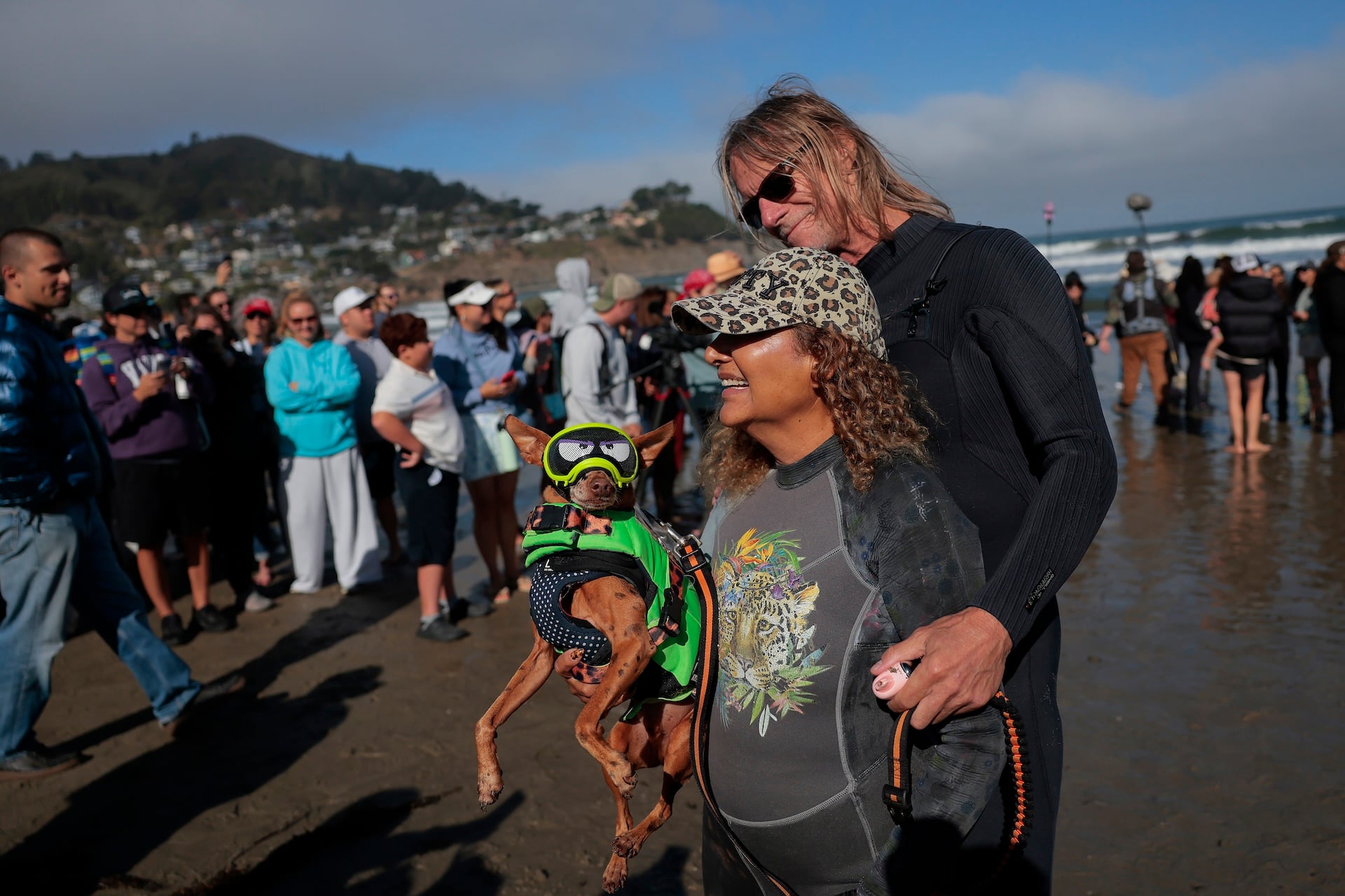 Rusty prepares to compete in the World Dog Surfing Championships on August 01, 2026 in Pacifica, California. 