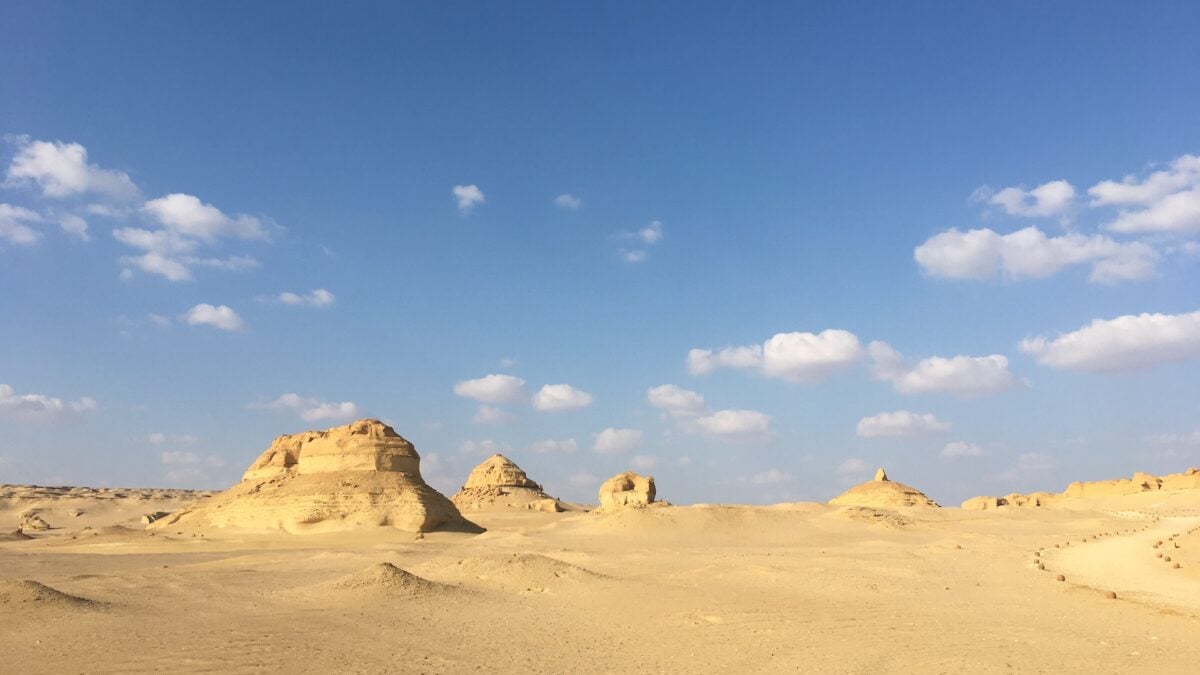 Evidence of Ancient Sharks Found Buried in the Egyptian Desert