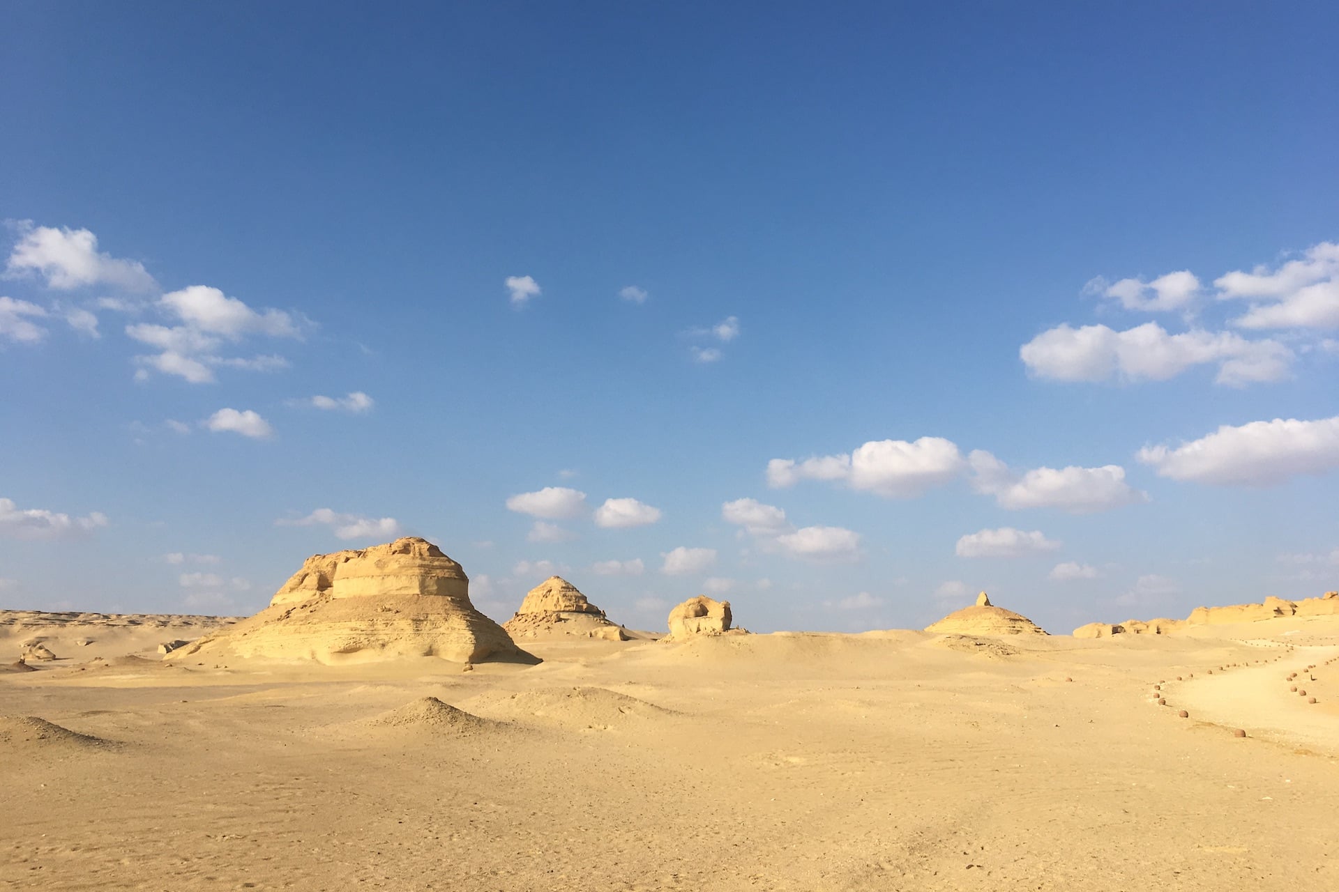 The Western Desert covers an area of approximately 262,800 square miles (680,650 square kilometers).