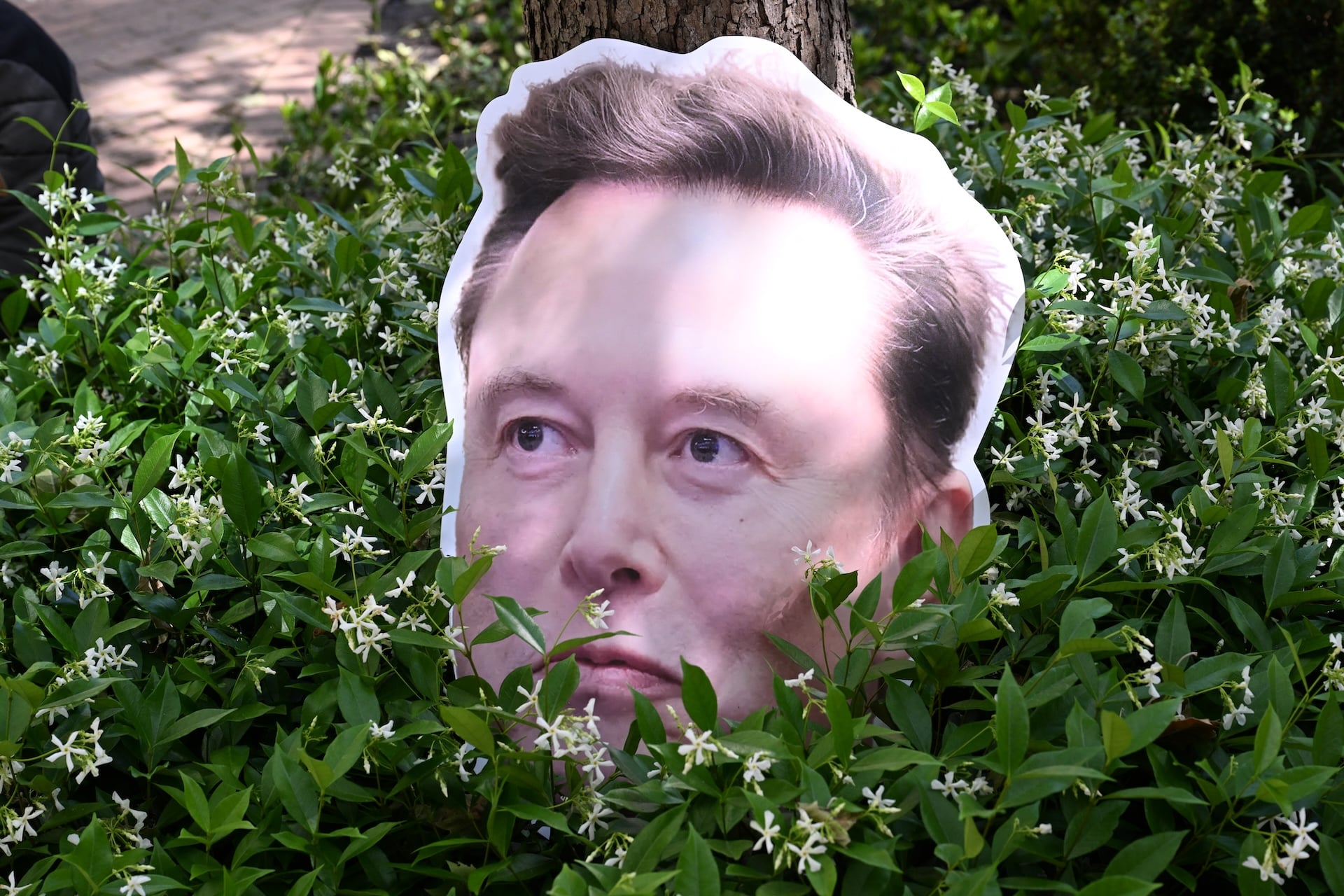 An Elon Musk sign sits in a bush the federal courthouse during proceedings in the trial over Elon Musk's lawsuit against OpenAI in Oakland, California, on April 30, 2026. 