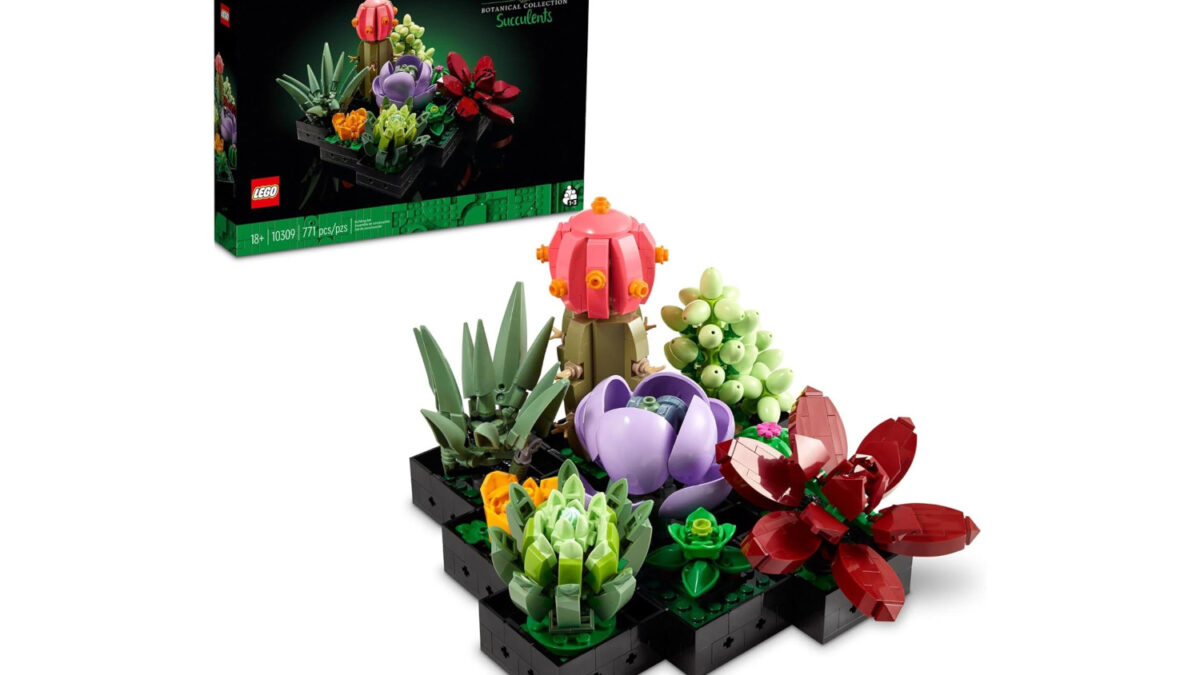 LEGO Botanicals Sukkulenten auf Rekordtief: Jede Pflanze kostet weniger ...