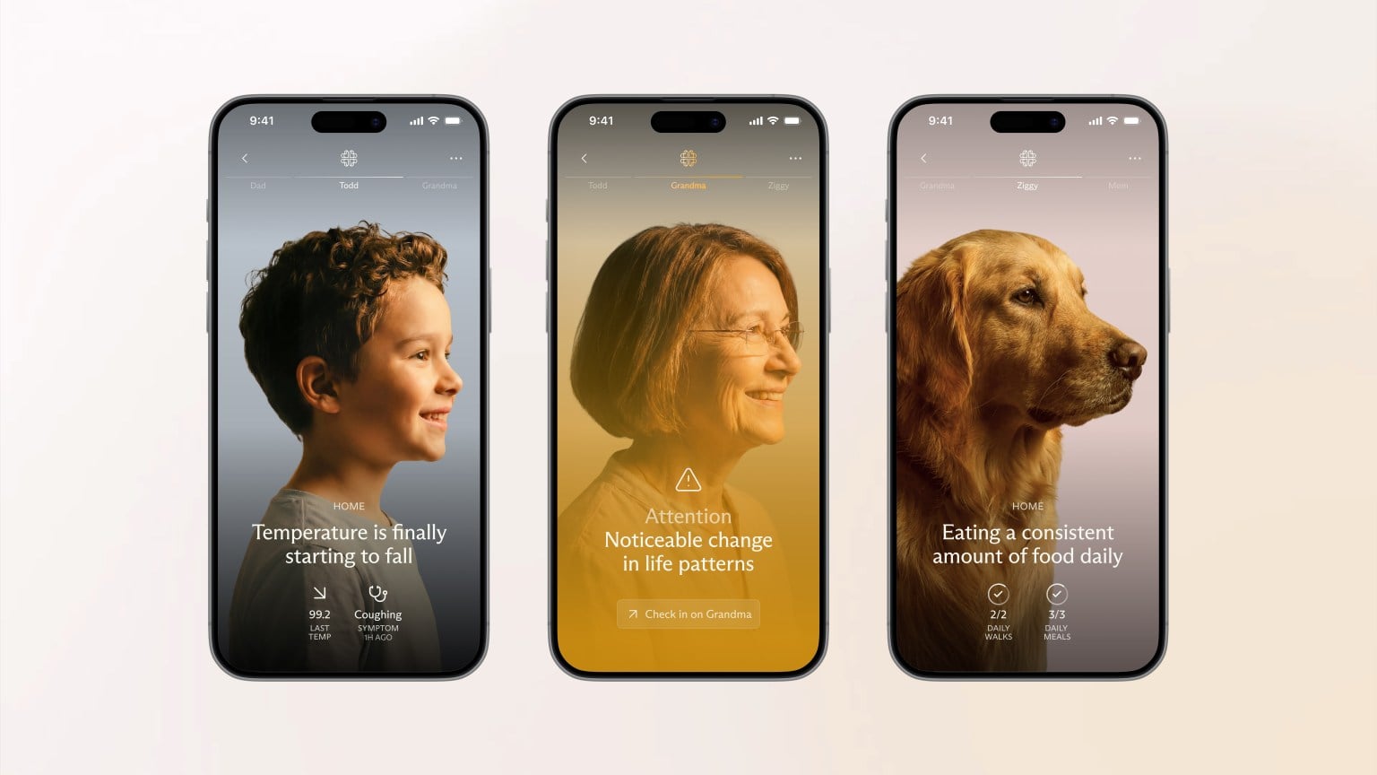 Luffu App 