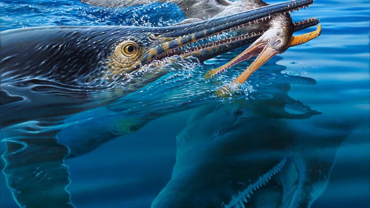 This 100-Million-Year-Old Fossil Reveals a Brutal Chain of Cretaceous Violence