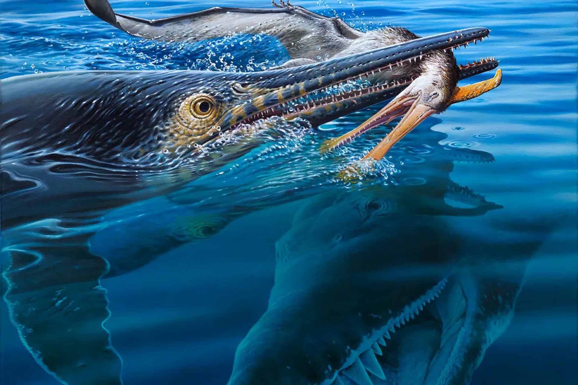 An artist's representation of an ichthyosaur snatching a pterosaur out of the air, as a kronosaurus prowls nearby.