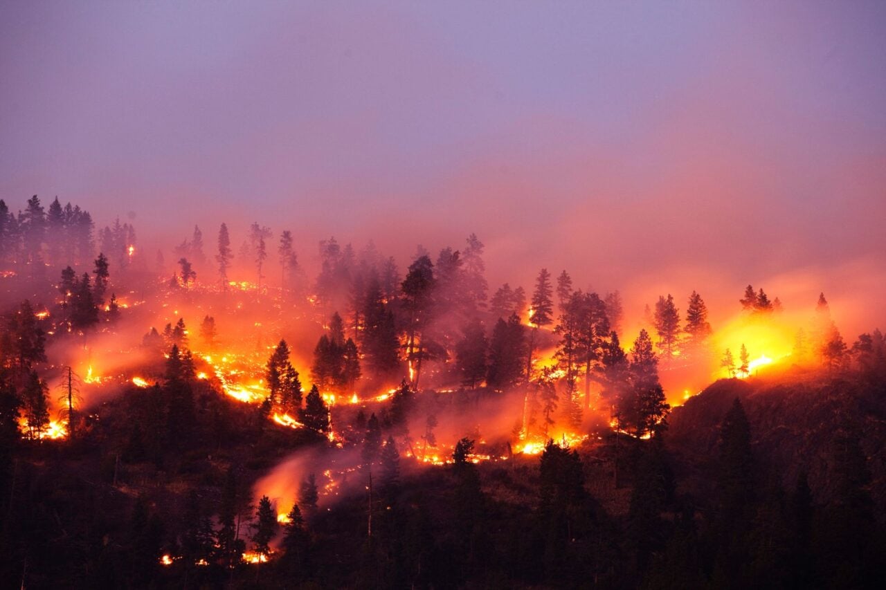 Wildfire On A Forested Hillside