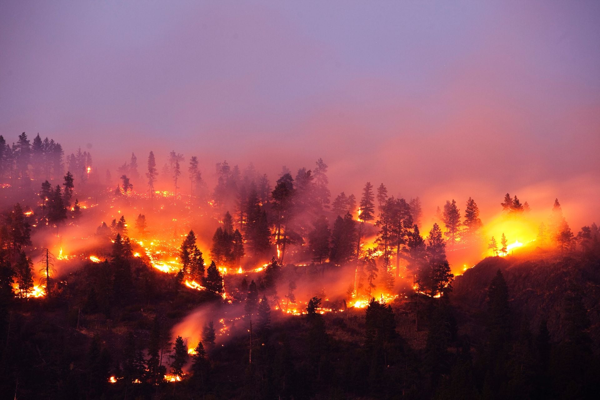 A forest fire burning on a mountainside in Montana.