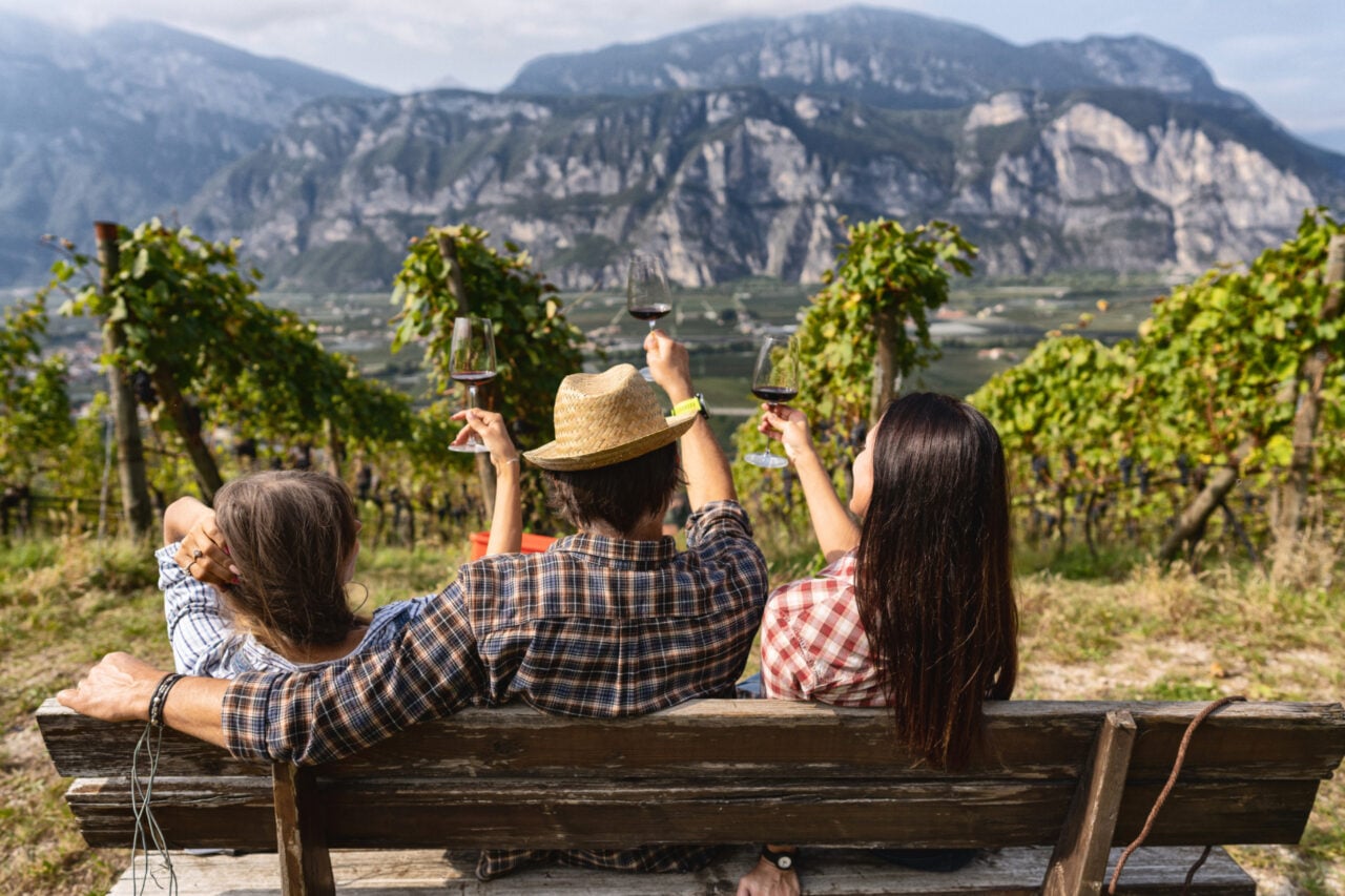 Grape Harvesting For Wine Making Storytelling: Relaxing After The Harvest With A Glass