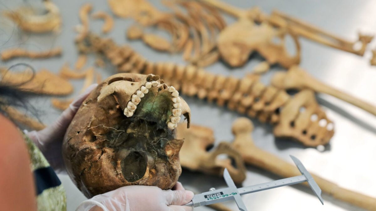 Meet Zosia, the 17th-Century Vampire Suspect Buried With a Sickle at Her Throat Meet Zosia, the 17th-Century Vampire Suspect Buried With a Sickle at Her Throat