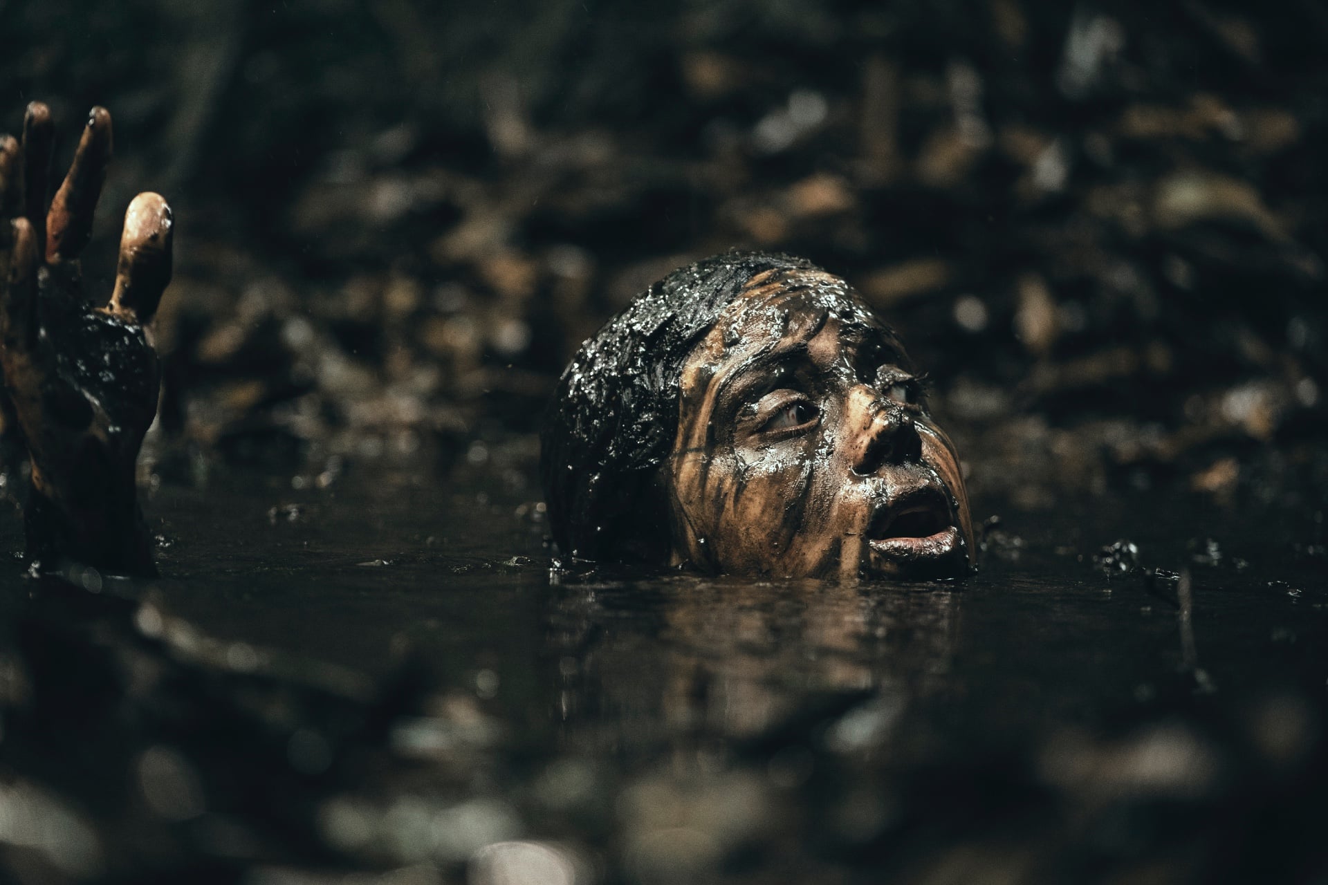 'Beware Boiúna'