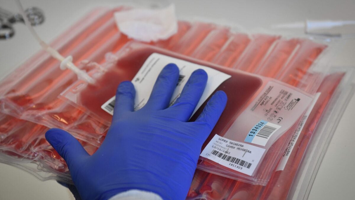 Living Drugs Transformed Blood Cancer Treatment&mdash;and That&rsquo;s Just the Beginning