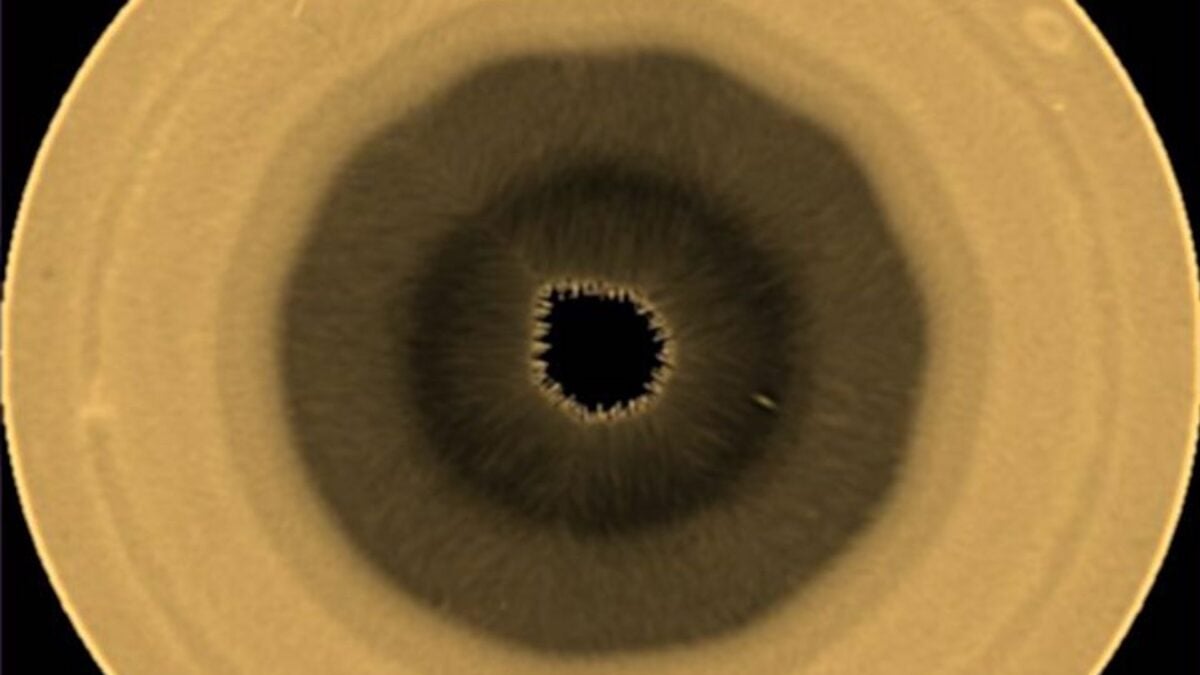 A Giant Hexagon Has Been Spinning at Saturn’s North Pole for Decades. Now, Scientists Found Its Twin