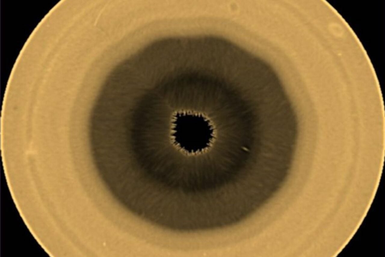 Polar projection of Saturn’s southern hemisphere at a red wavelengths at 763 nm obtained on 29 August 2025 by the Hubble Space Telescope.