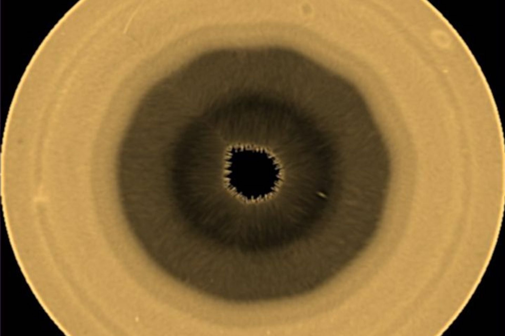 A view of Saturn's southern hemisphere captured by Hubble in August 2025.