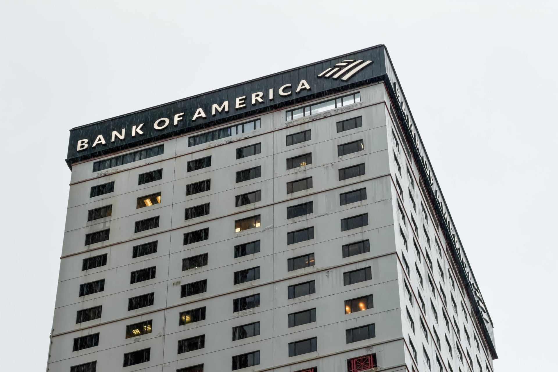 Bank of America is one of the co-writers of the report