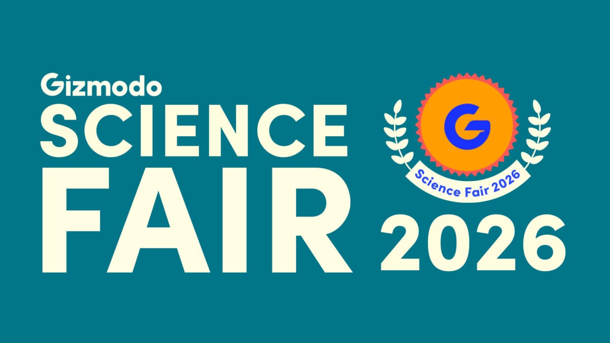The Winners of the 2026 Gizmodo Science Fair