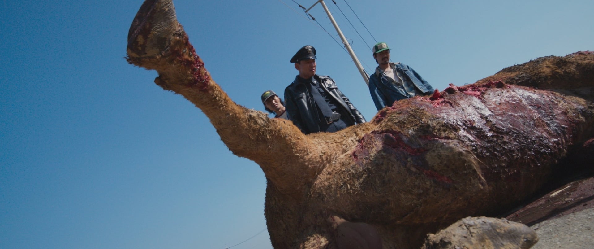 Hope still of an officer and hunters checking out the carcass of a bullfighting bull.