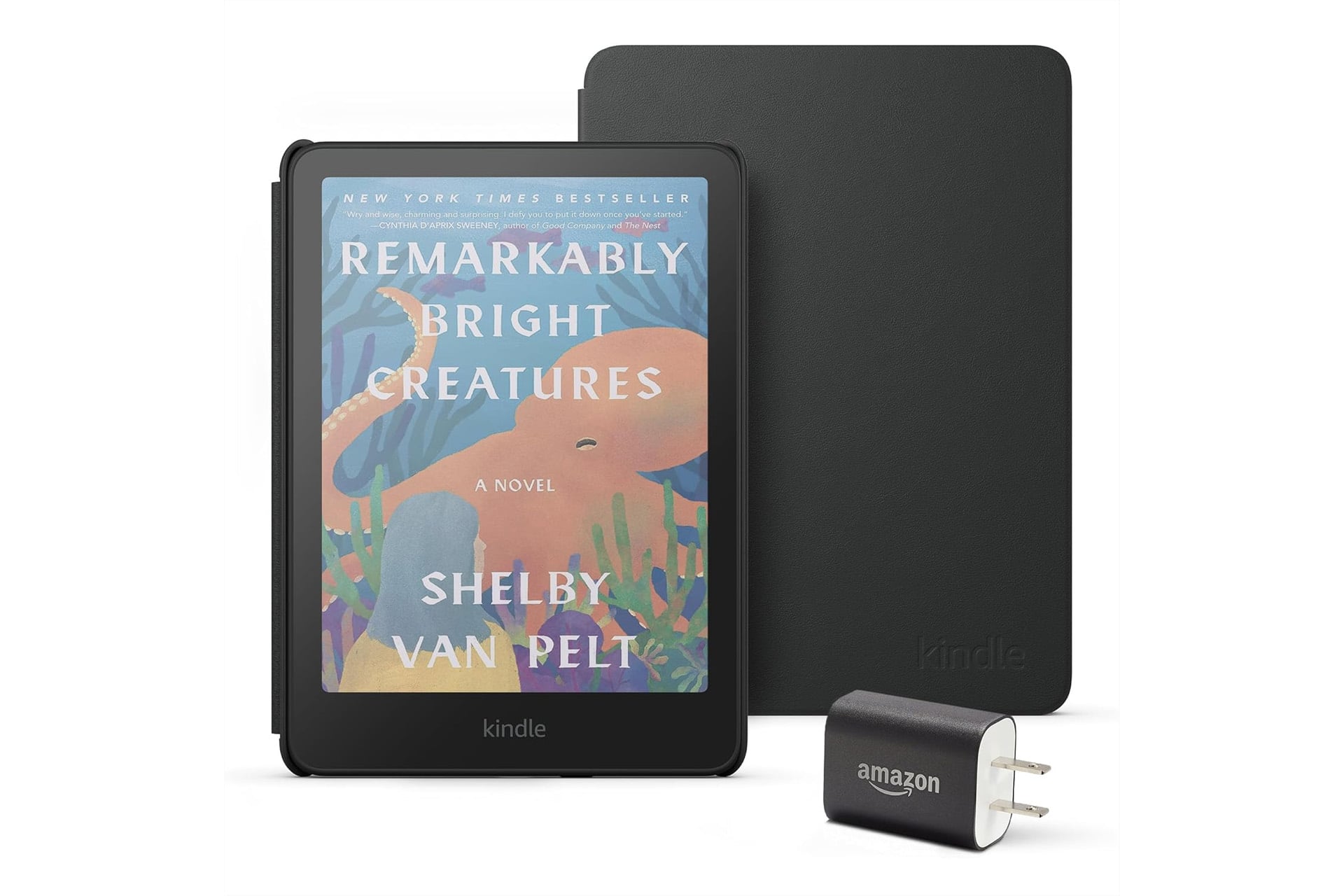 Kindle Colorsoft