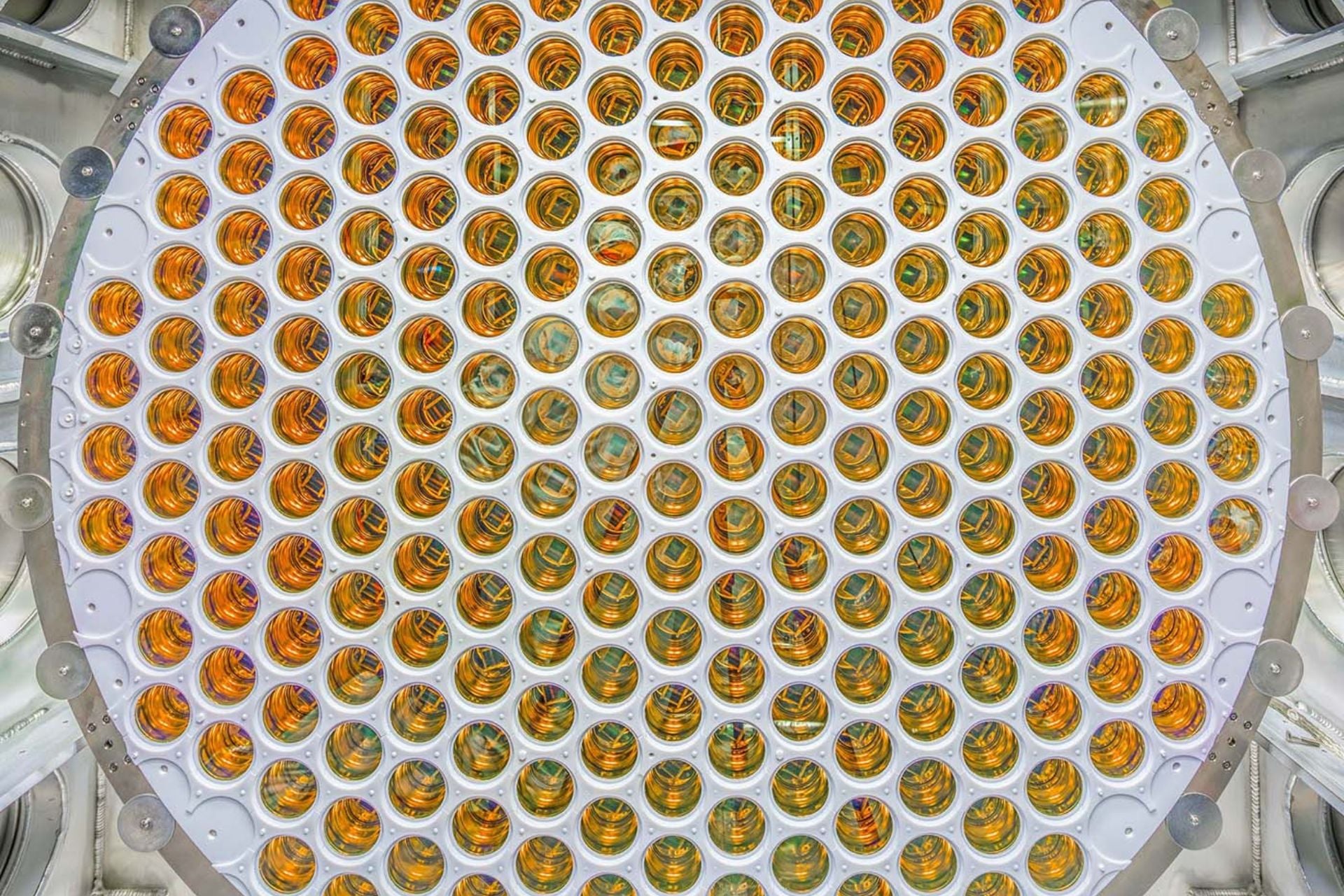 An array of light sensors designed to capture the tiny flash of light created when a dark matter particle interacts with xenon atoms inside the LZ detector. 