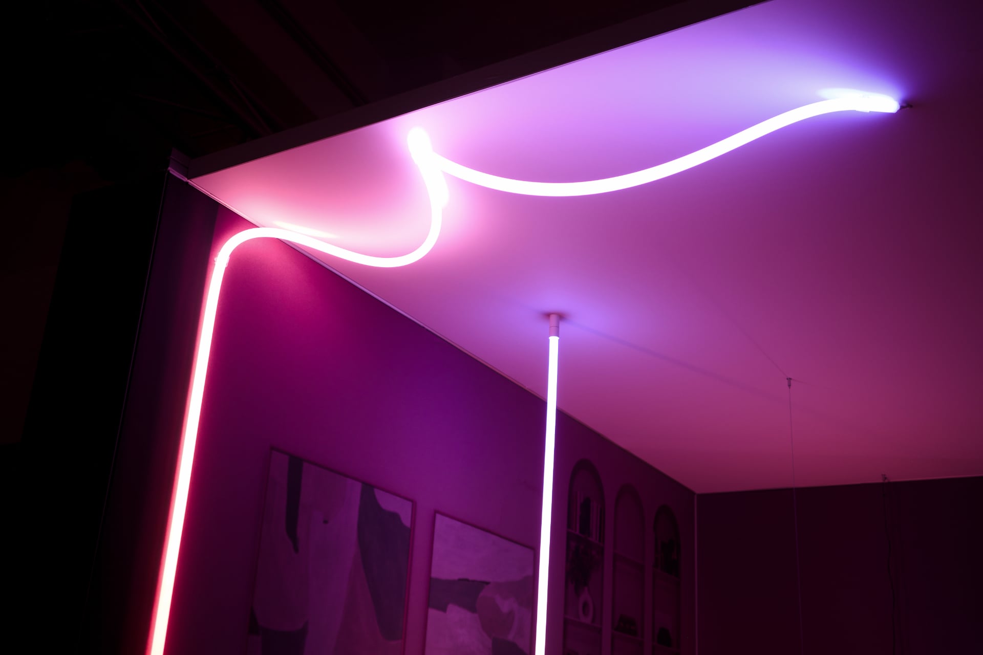 Philips Hue Liane 360 Degree Rope Light 2