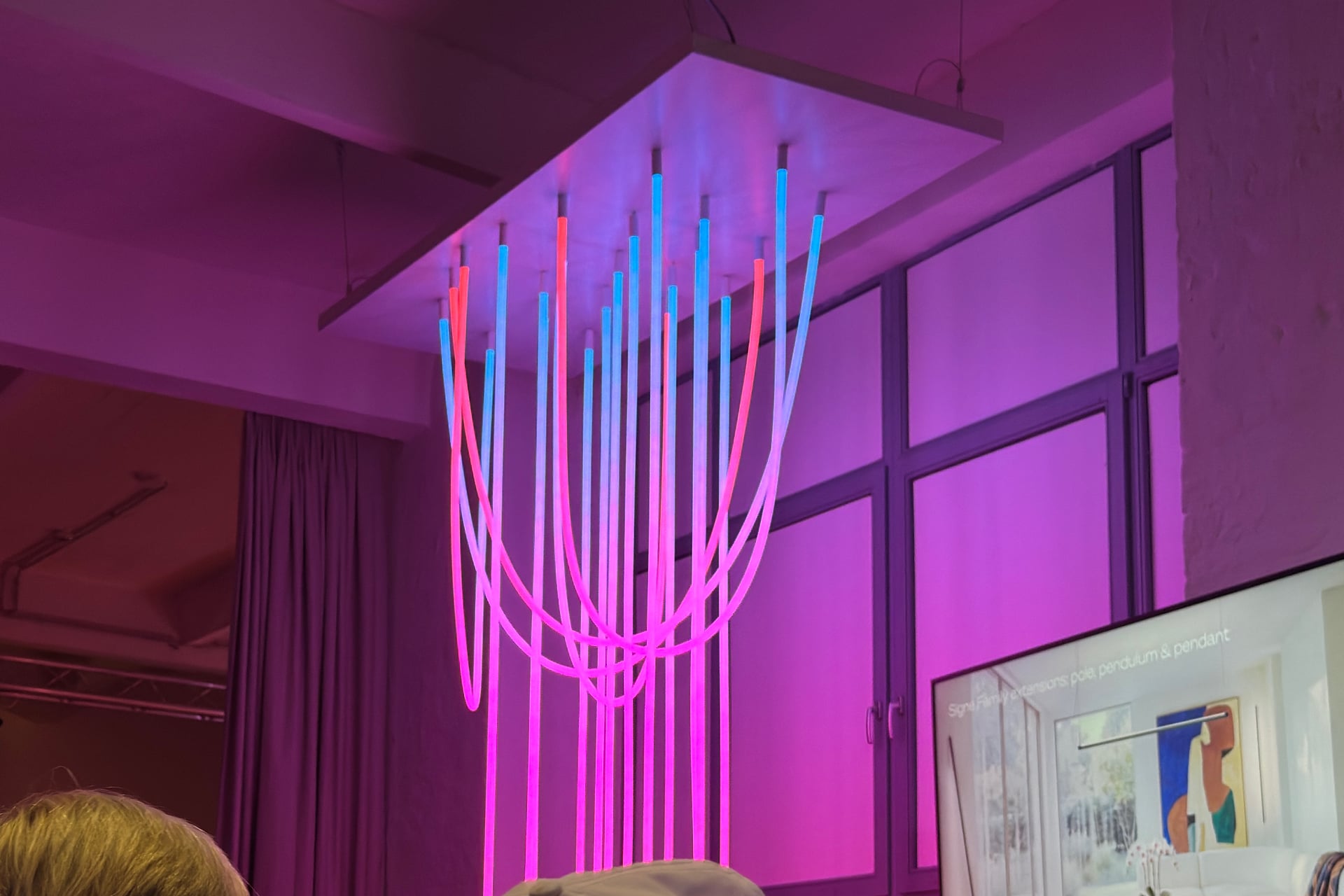 A cluster of Liane rope lights dangling from a ceiling, some attached at both ends to form a curve, while others hang straight down. They're all displaying a pink-to-blue gradient.
