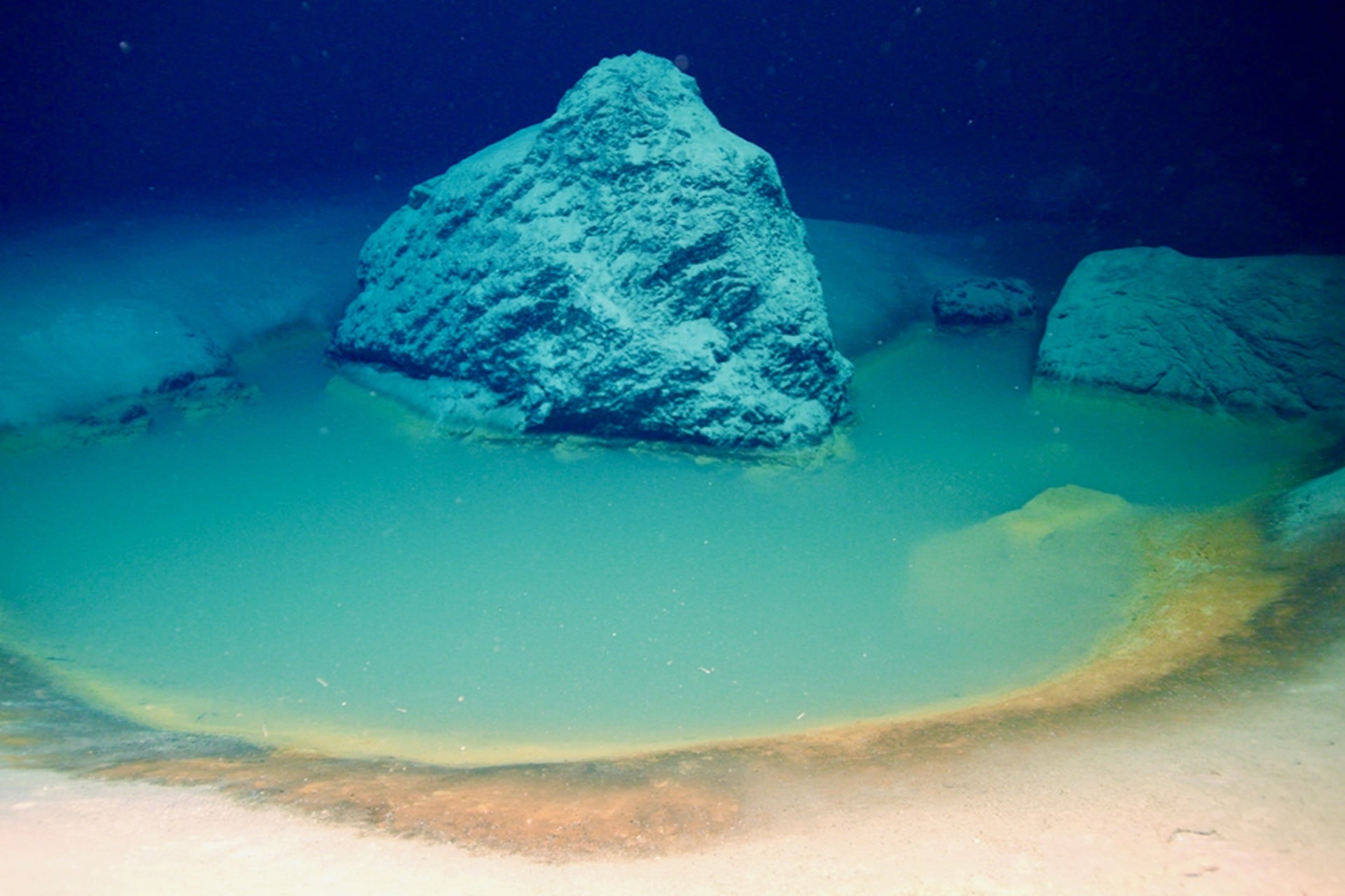 Cameras onboard a Mariner XL Argus remotely operated vehicle (ROV) imaged this deadly deep-sea brine pool in the northern Red Sea, before sampling its sediments for traces of life.