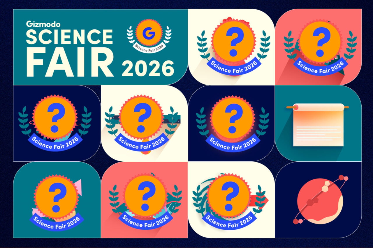 Science Fair 2026 Day 2