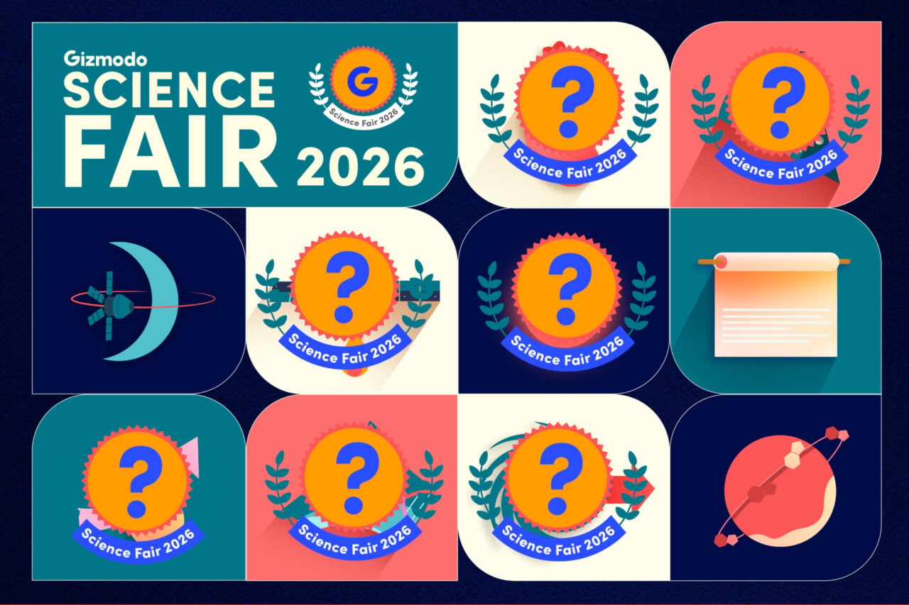 Science Fair 2026 Day 3