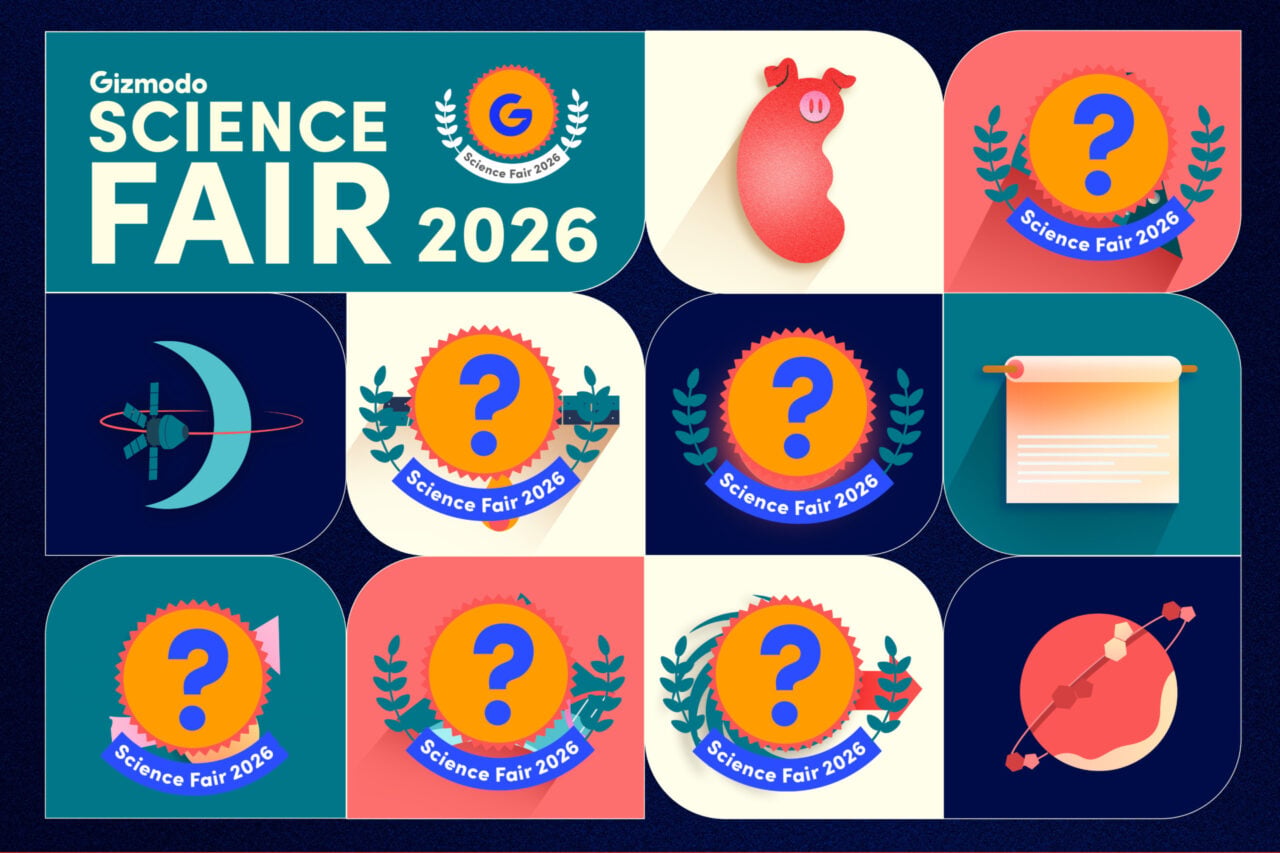 Science Fair 2026 Day 4