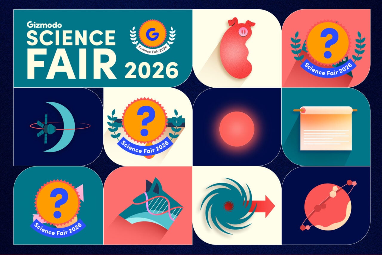 Science Fair 2026 Day 7