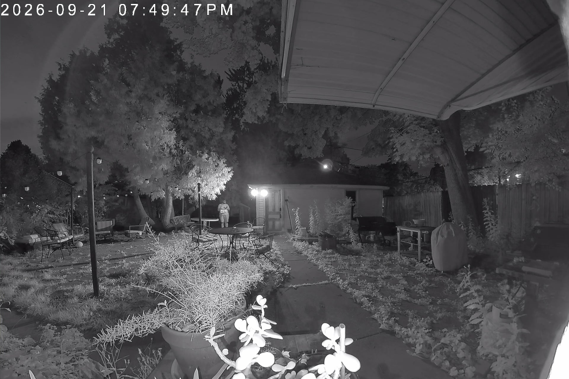 A Tapo D260 night shot with infrared. Objects in view are easy to make out.