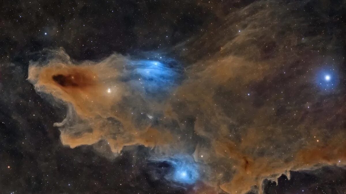 photo of A Deep-Space Shark Is Prowling the Cosmos—and the Photo Just Won a Major Award image