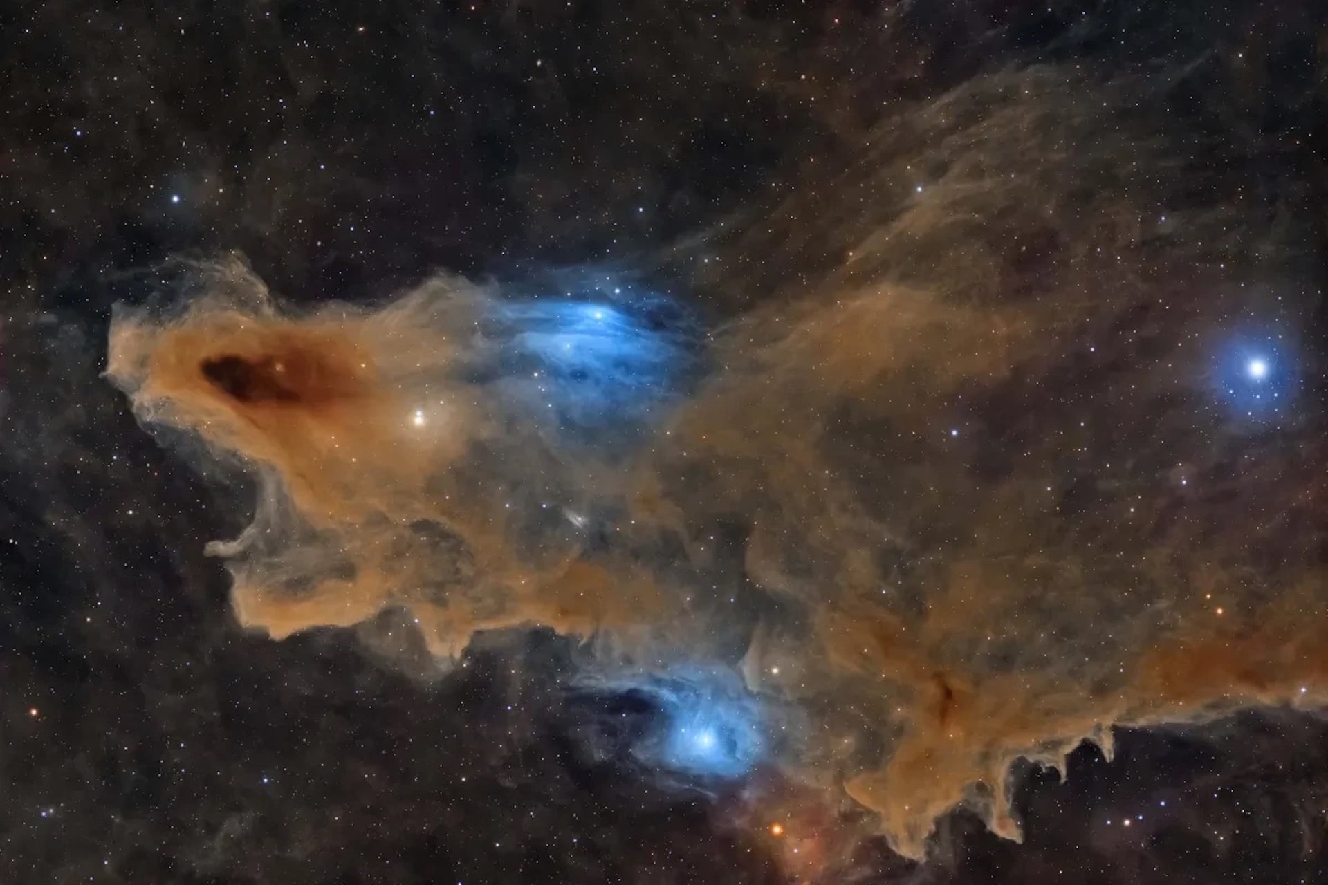 This image of the Shark Nebula was the overall winner in the 2026 Astronomy Photographer of the Year Awards.