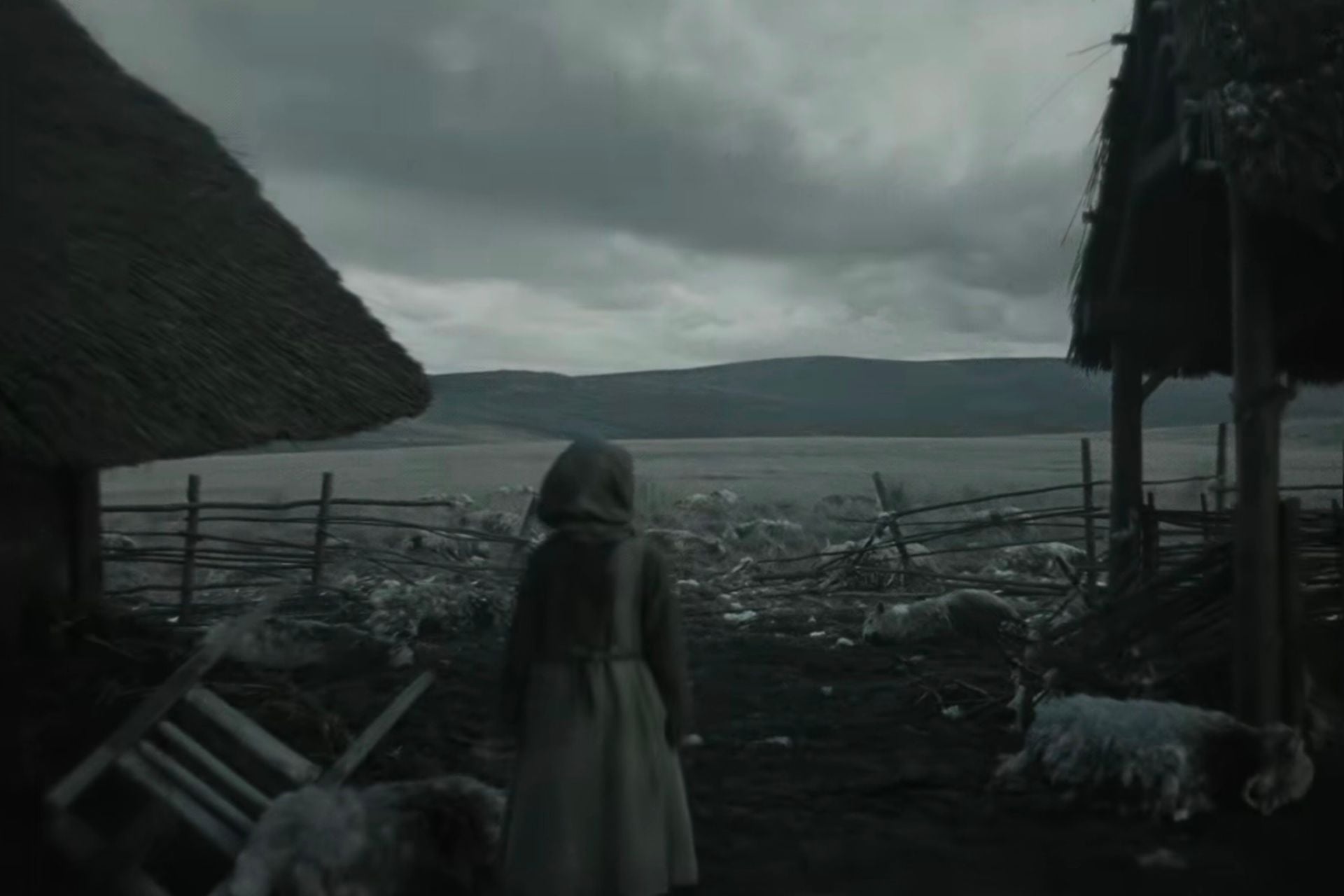Werwulf Trailer Sheep