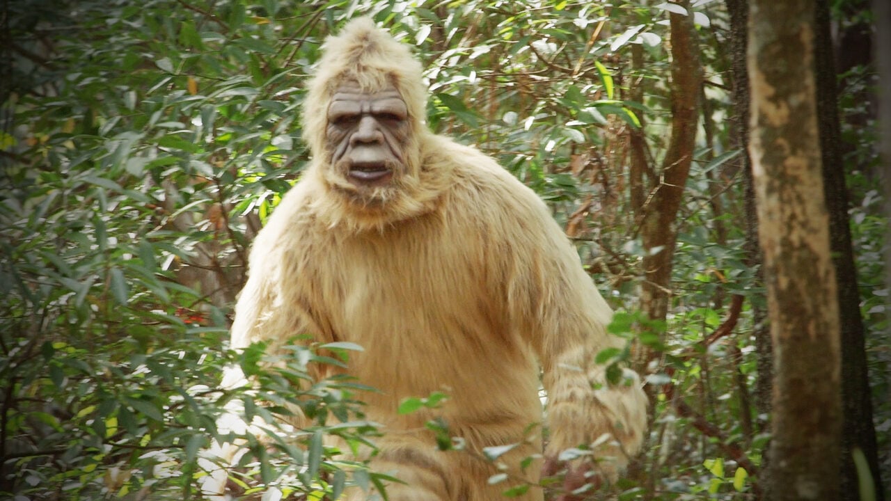 Bigfoot Sasquatch