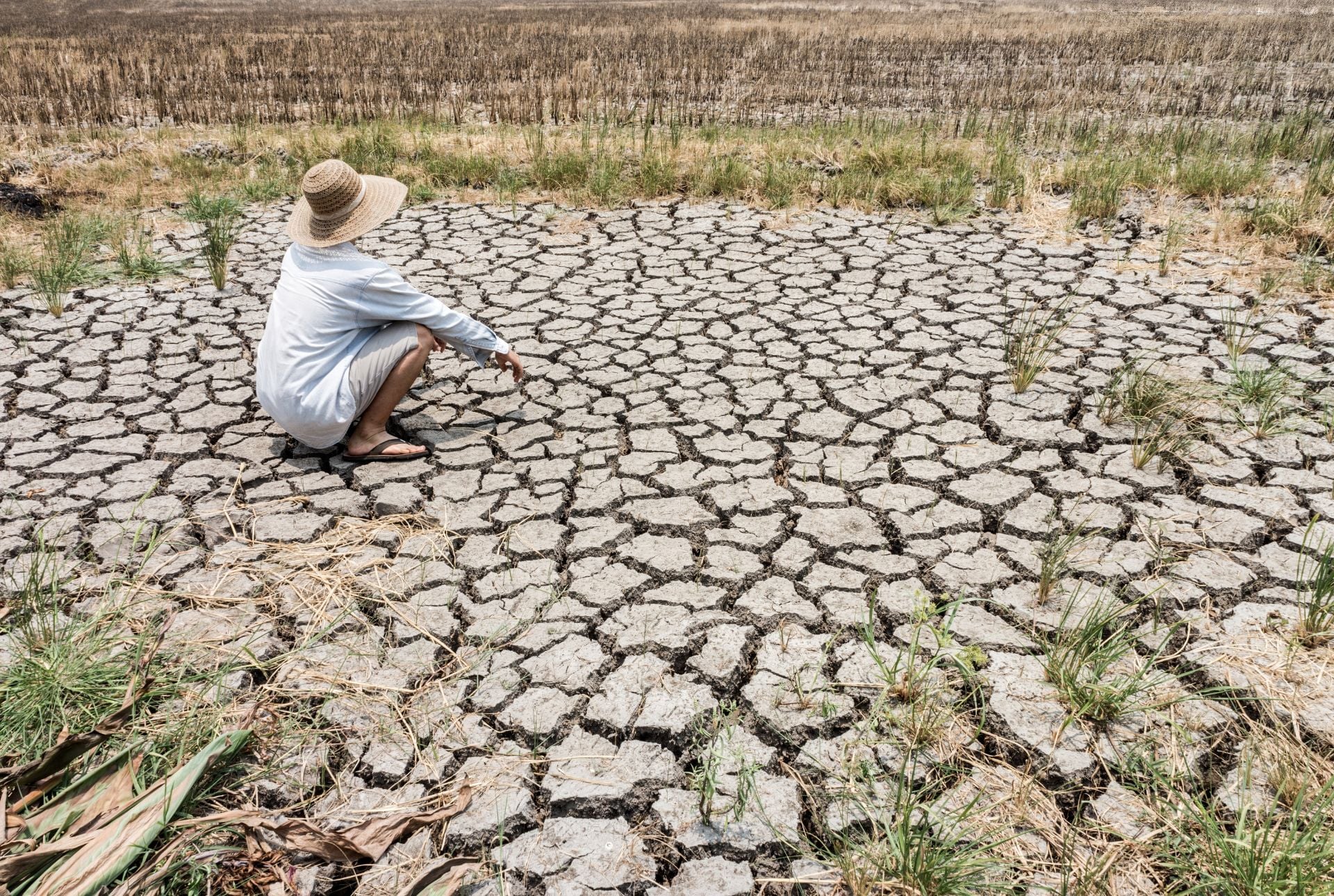 During the unprecedented El Niño of 2026-2027, some parts of the would could become parched by drought, while others experience heavy rain and flooding.