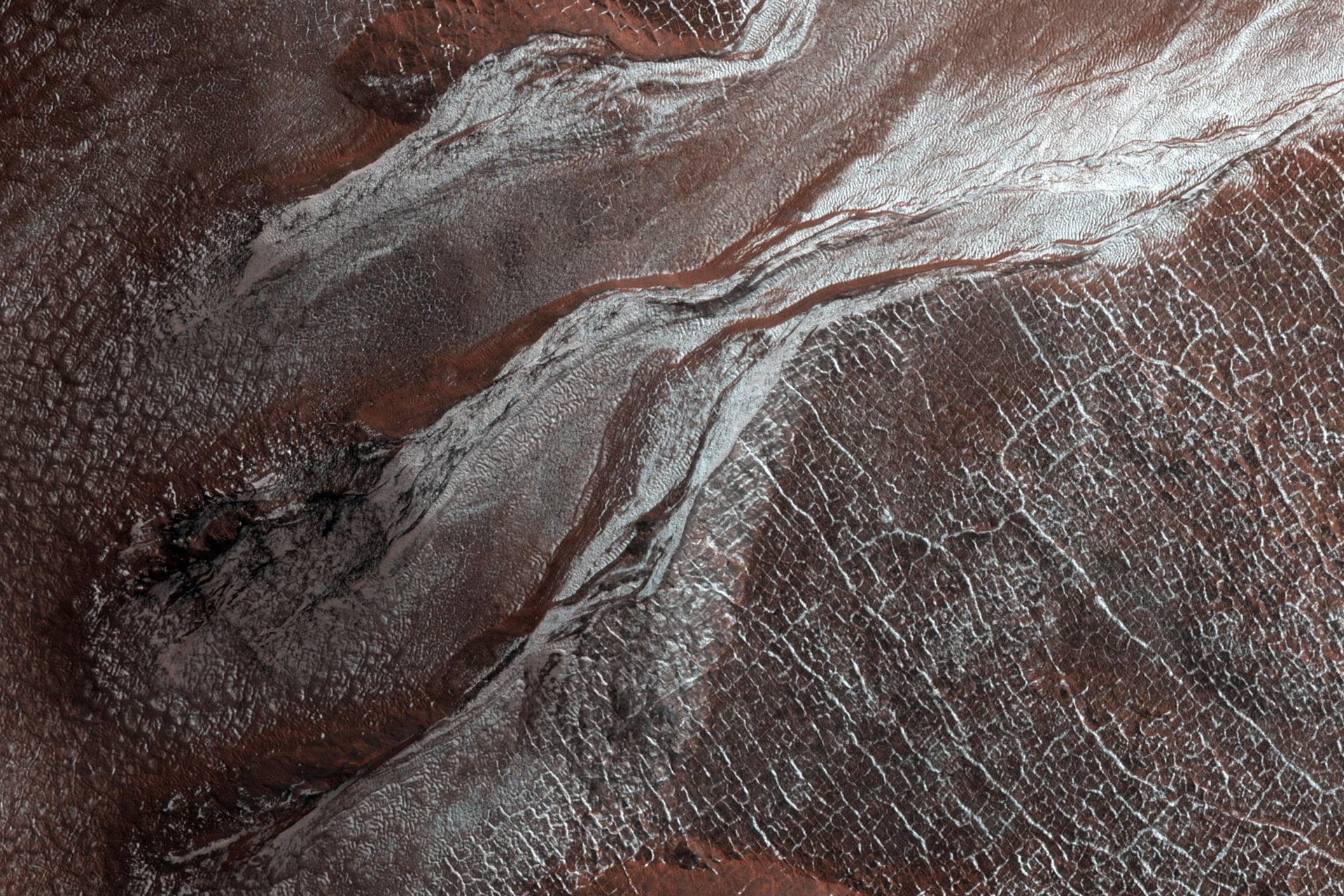 An image of gullies with a sprinkle of frost (shown in white) observed during Martian springtime by the Mars Reconnaissance Orbiter's HiRISE camera in 2019.