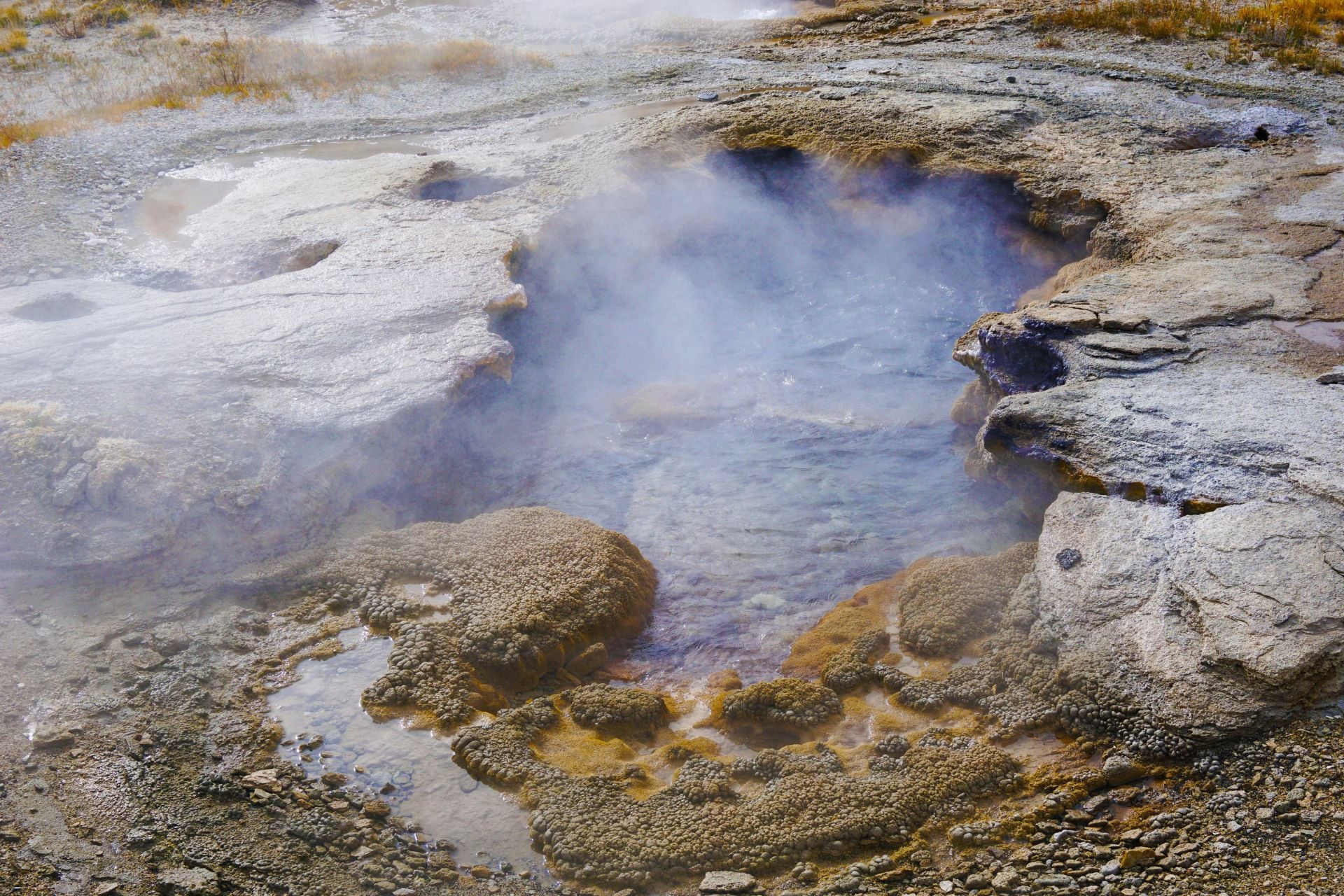 Shallow hydrothermal springs like this one in Yellowstone National Park are highly important to the origin of life because they act like a natural "Goldilocks" chemistry laboratory.