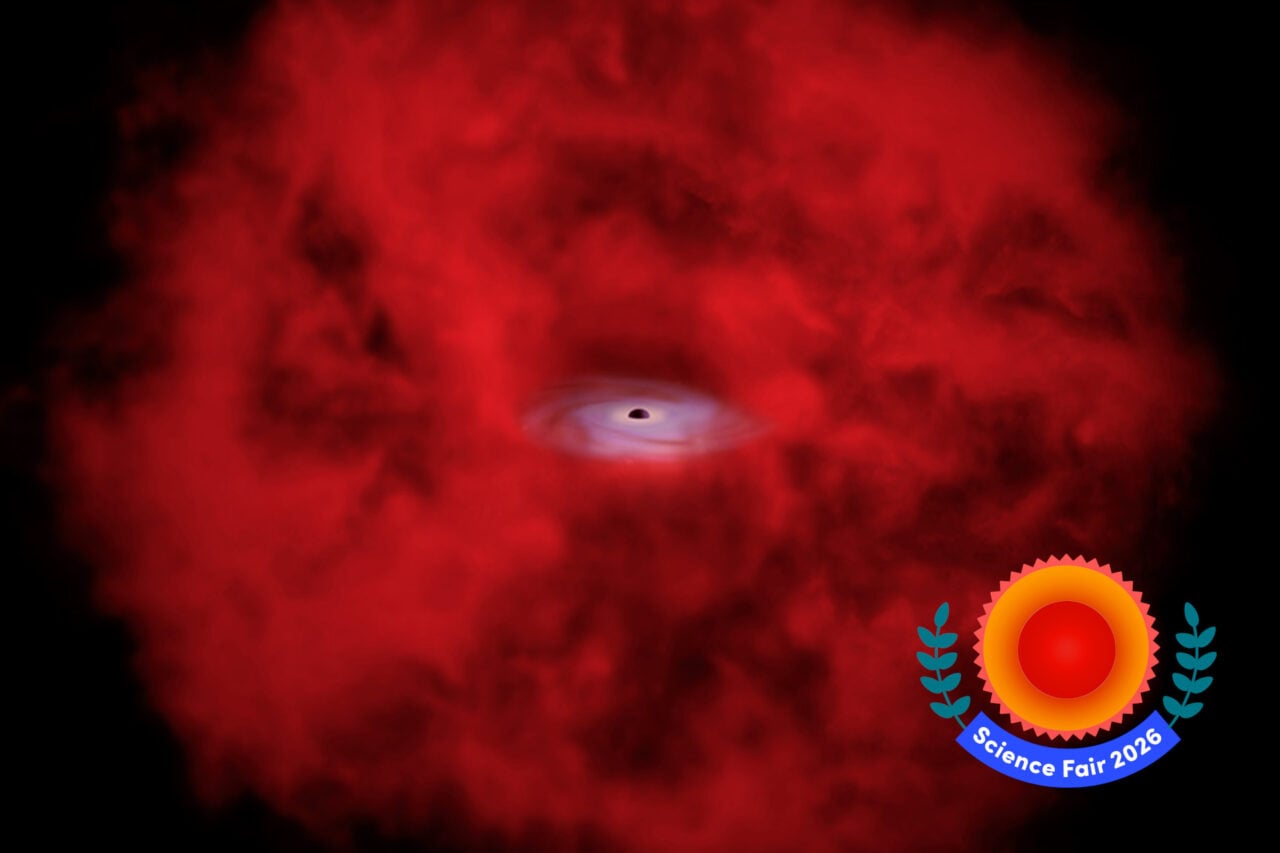 Little Red Dots Early Black Holes