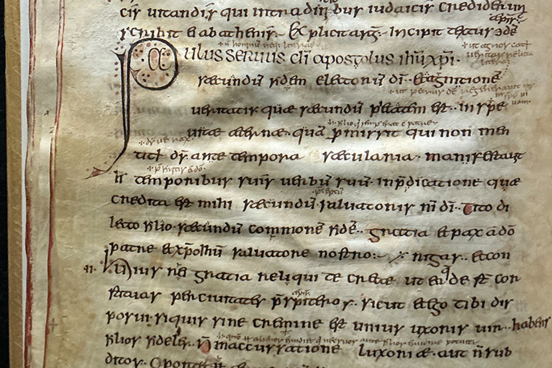 DNA of the ancient virus was extracted from millennium old sheepskin Bible parchment, now in the collections of the University of Cambridge.