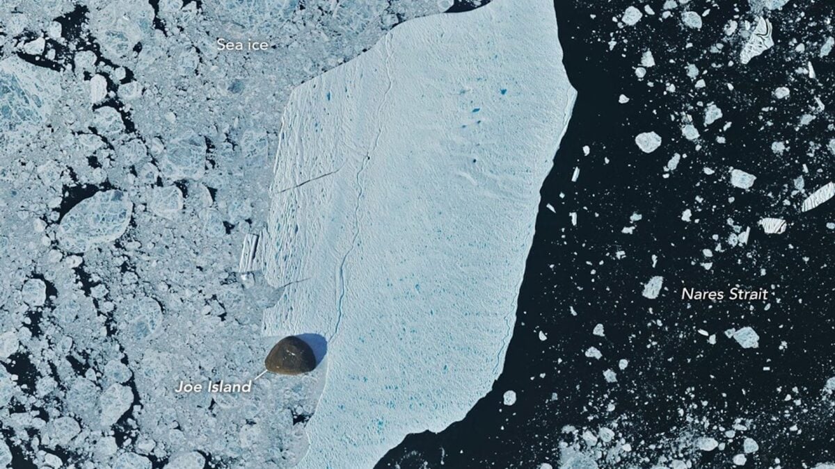 Greenland’s Wayward Ice Island Just Smashed Into Joe Island—and Survived Greenland’s Wayward Ice Island Just Smashed Into Joe Island—and Survived