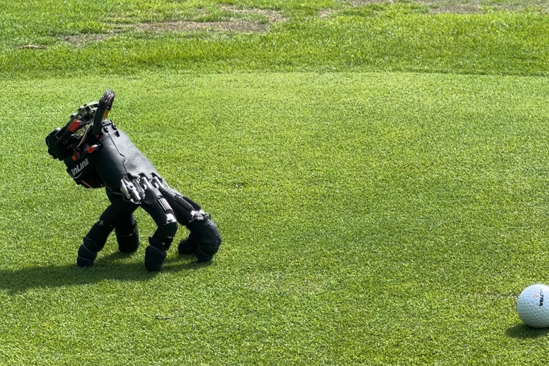 The robot hand enjoying a game of golf.