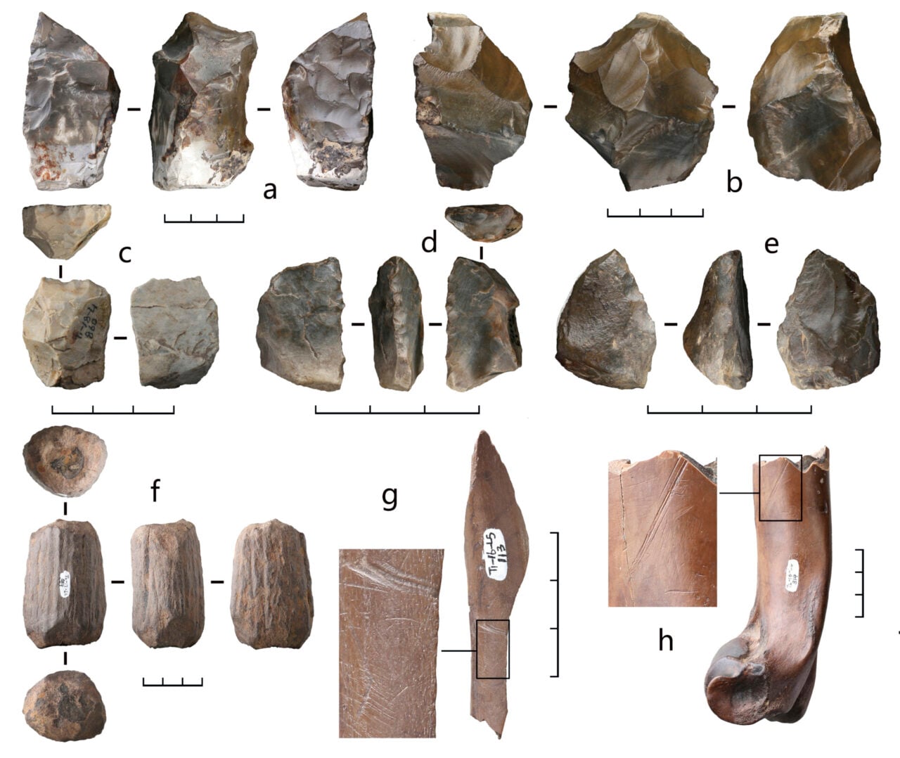 Stone Artifacts Modified Bones Bianfu Denisovans