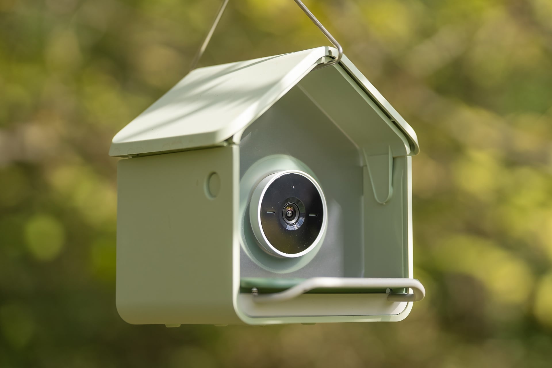 A birdbuddy nook suspended in the air.
