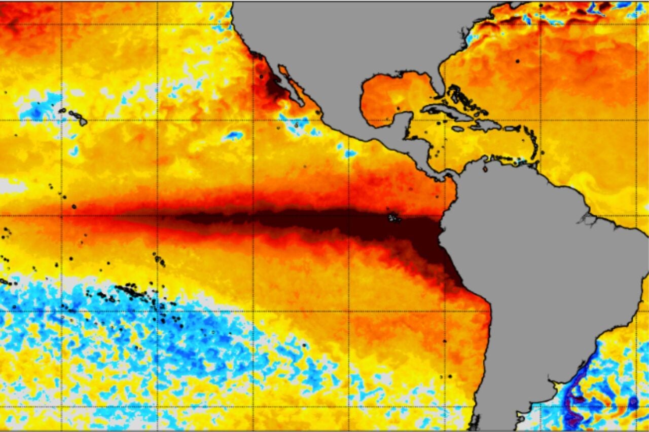 A map of sea surface temperatures in the tropical Pacific Ocean, where a very strong El Niño has developed