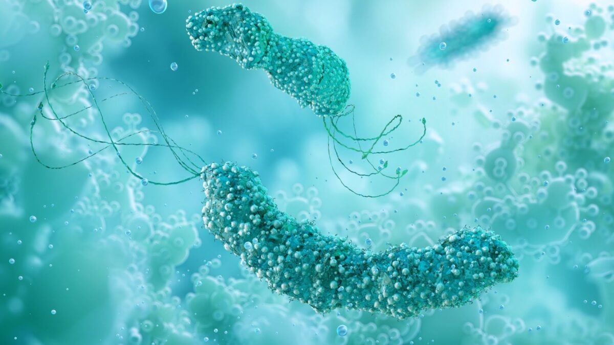 Scientists Find Worrying Link Between Common Ulcer Germ and Colorectal Cancer